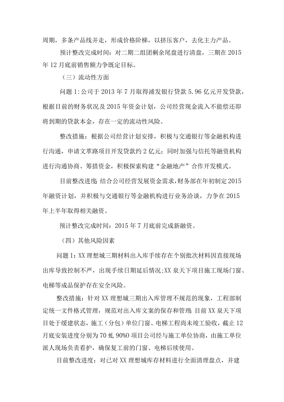 XX公司风险排查自查报告.docx_第3页