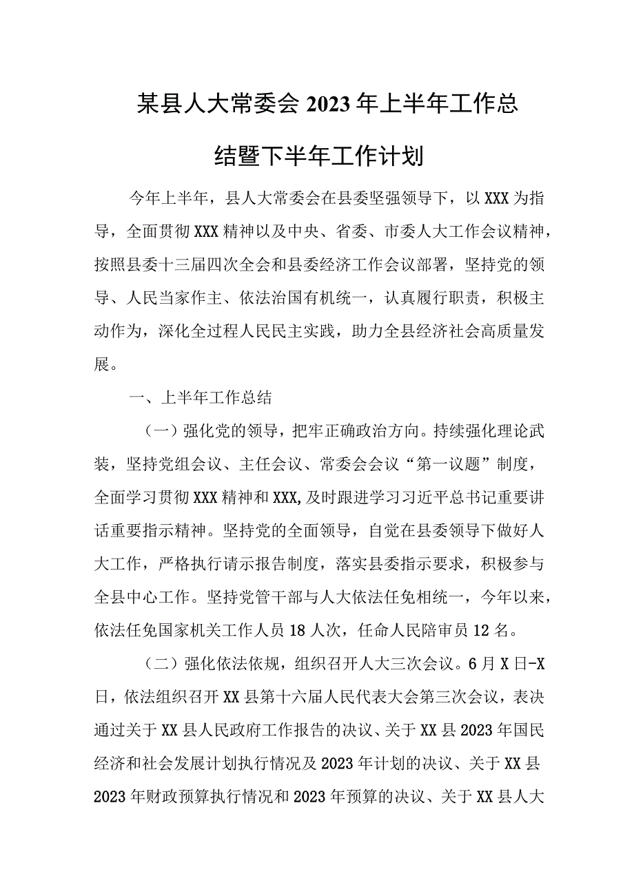 某县人大常委会2023年上半年工作总结暨下半年工作计划.docx_第1页