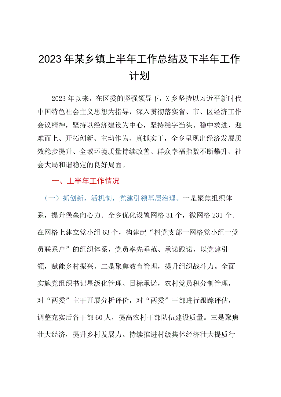 2023年某乡镇上半年工作总结及下半年工作计划.docx_第1页