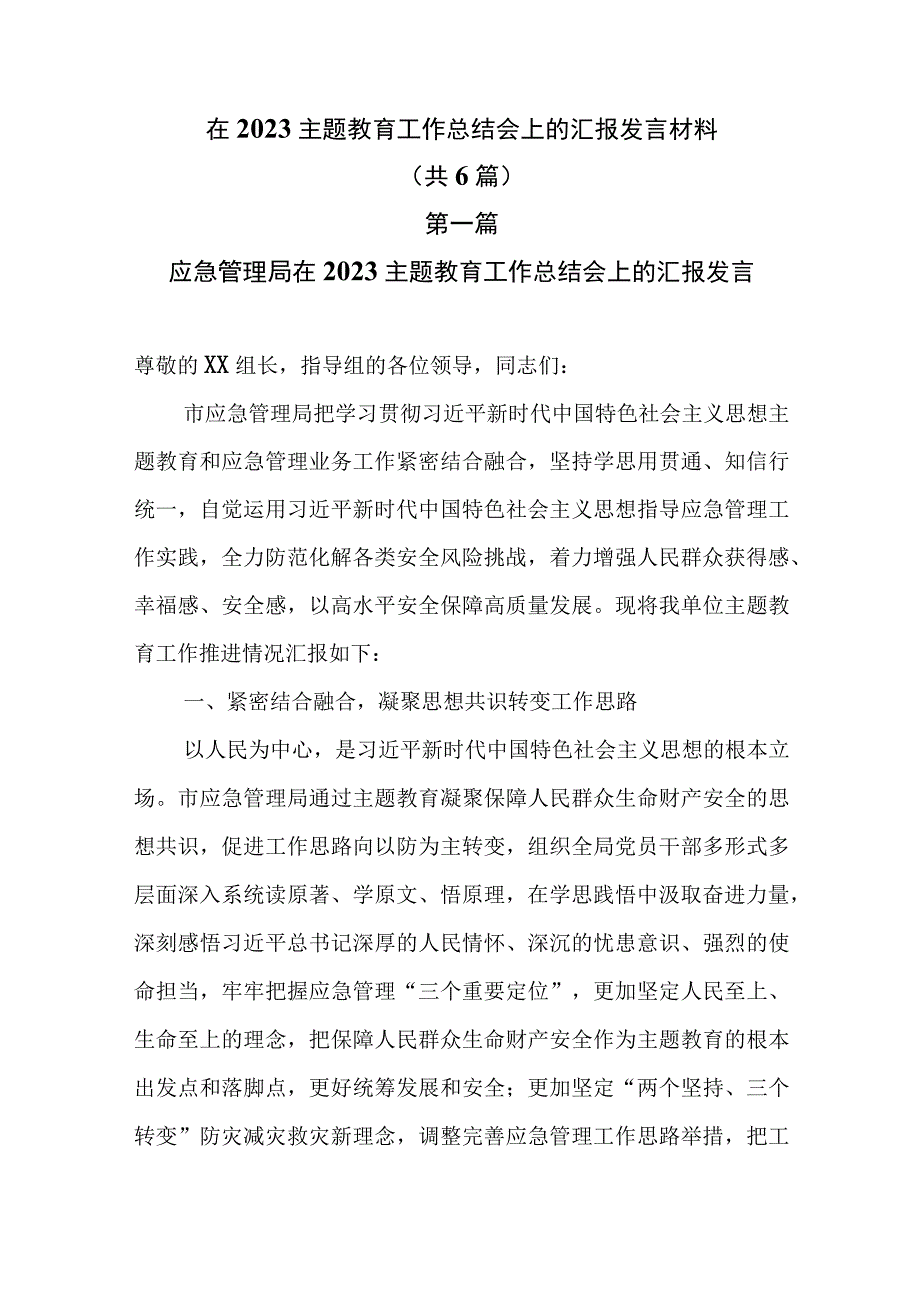 在2023主题教育工作总结会上的汇报发言材料共6篇.docx_第1页