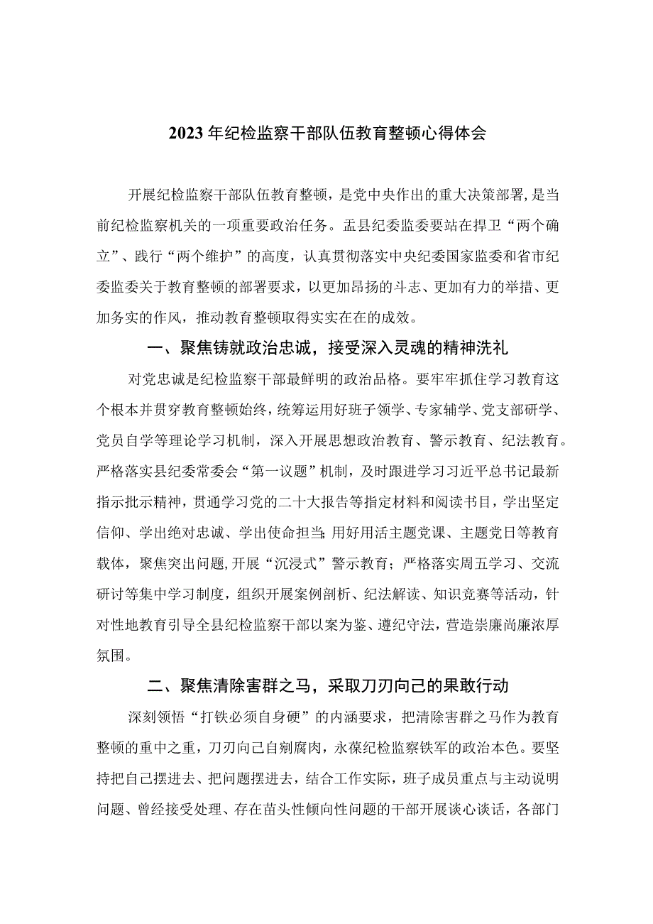 2023年纪检监察干部队伍教育整顿心得体会范文范文共十篇.docx_第1页