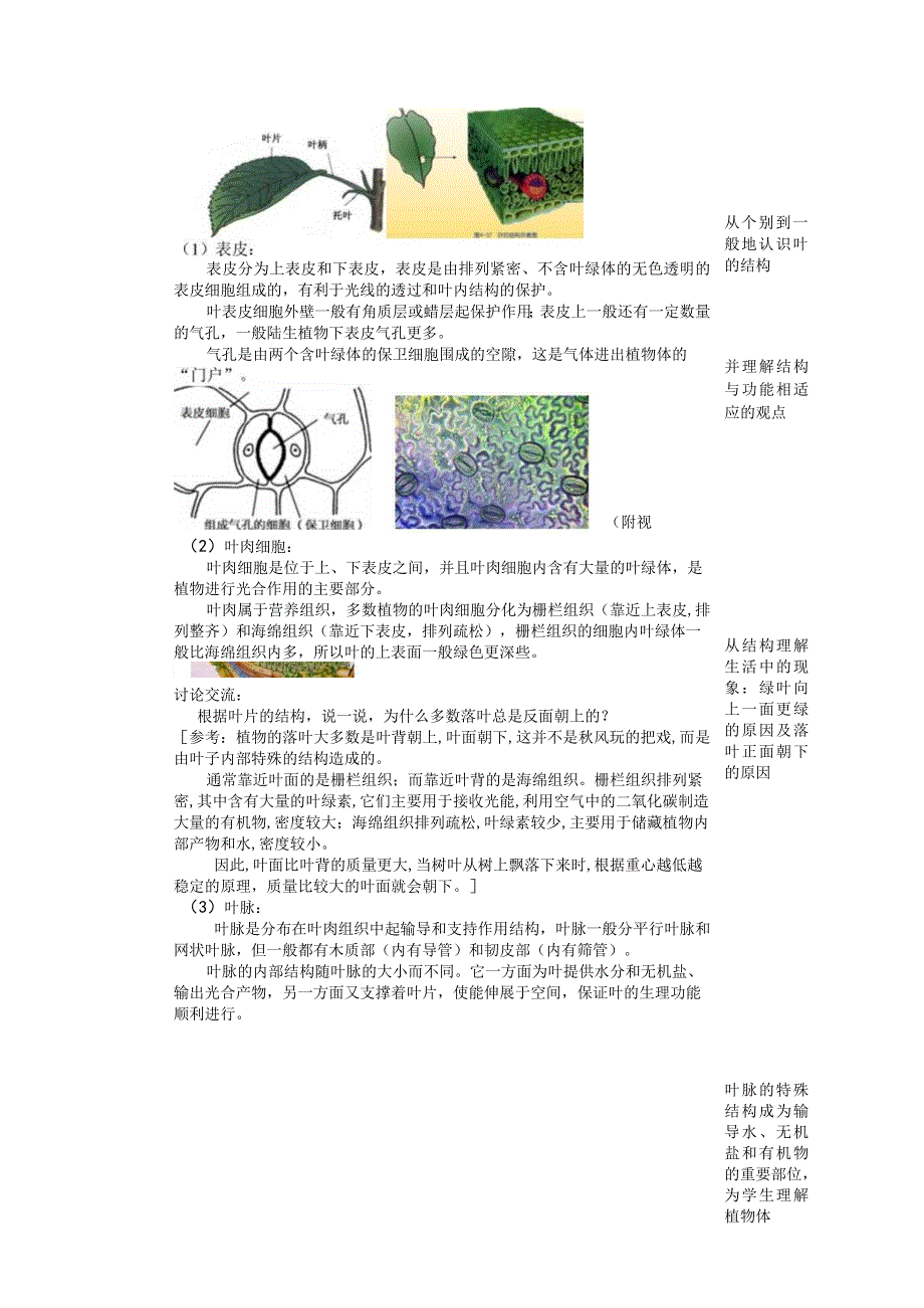 初中：45植物的叶与蒸腾作用.docx_第2页