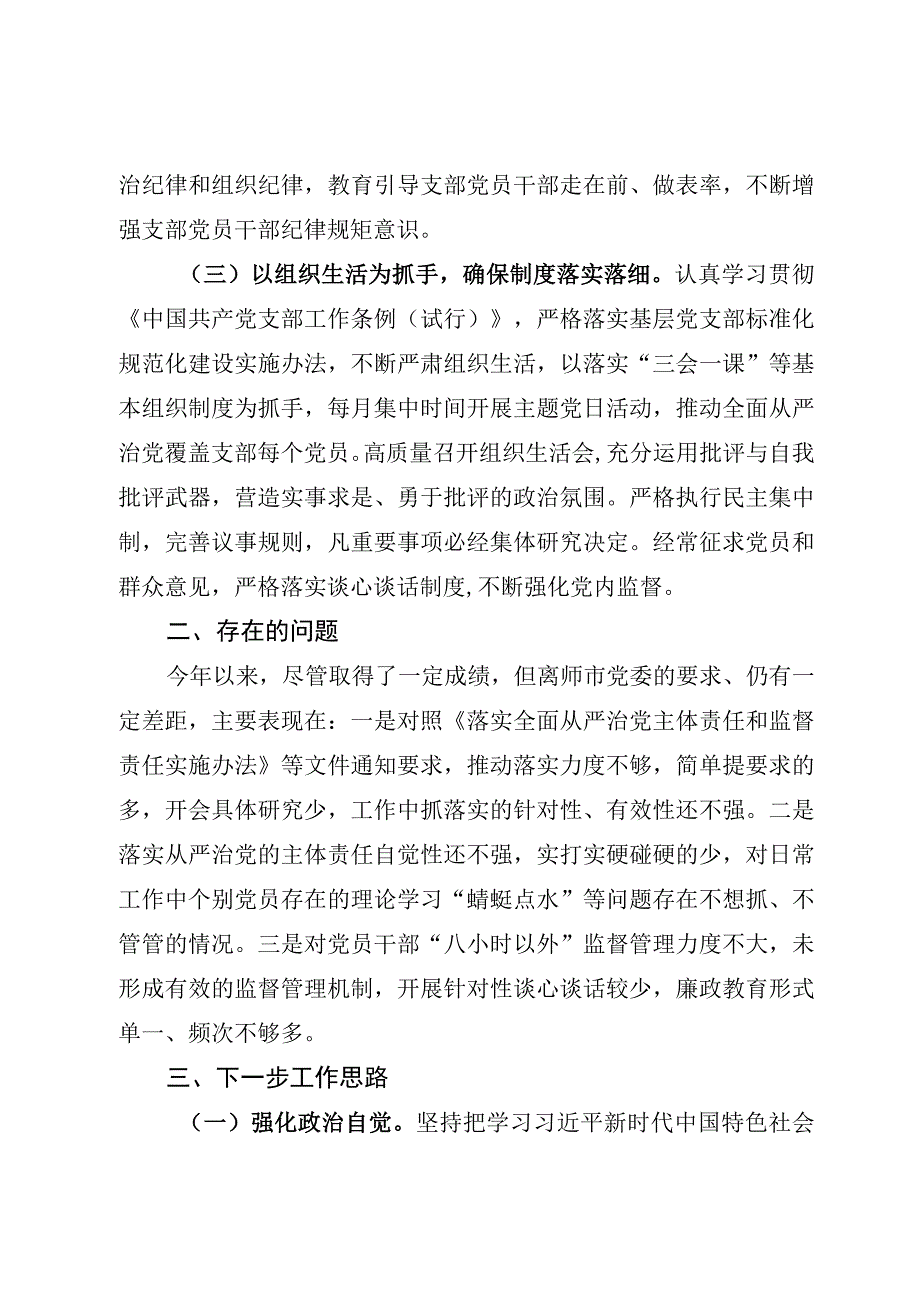 上半年全面从严治党报告.docx_第2页