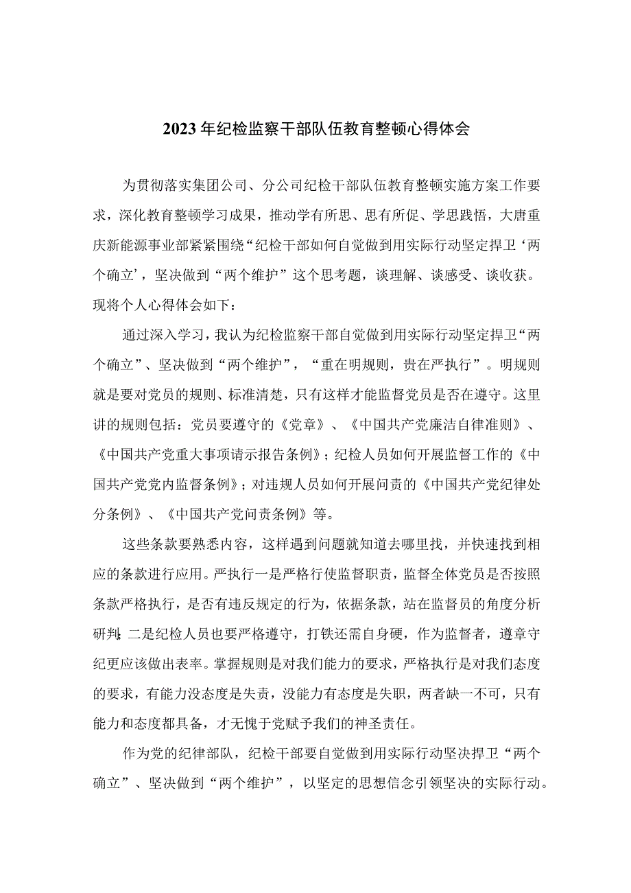 2023年纪检监察干部队伍教育整顿心得体会范文范文精选10篇模板.docx_第1页