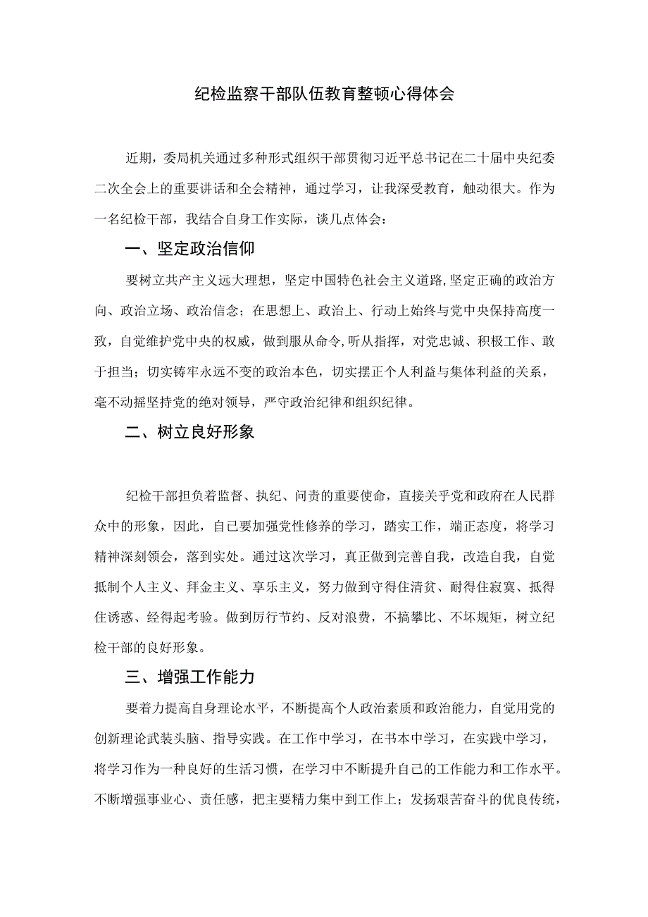 2023年纪检监察干部队伍教育整顿心得体会范文精选10篇模板.docx_第3页