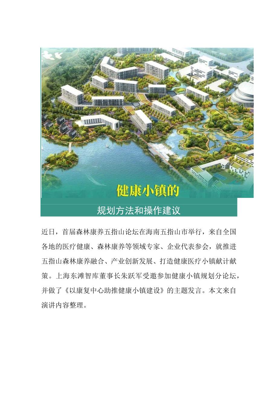 健康小镇的规划要点和实操建议.docx_第1页