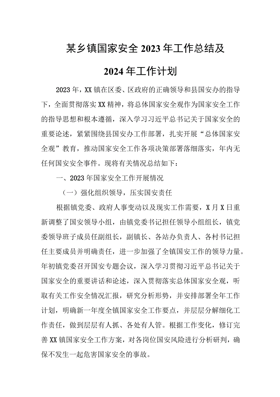 某乡镇国家安全2023年工作总结及2024年工作计划.docx_第1页