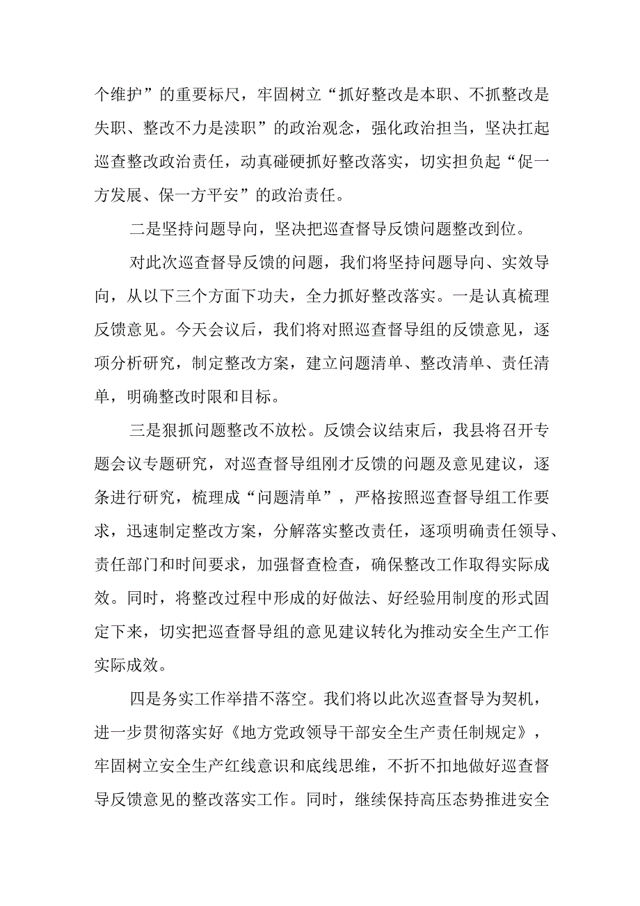 县长在全市安全生产巡查督导反馈会上的表态发言.docx_第2页