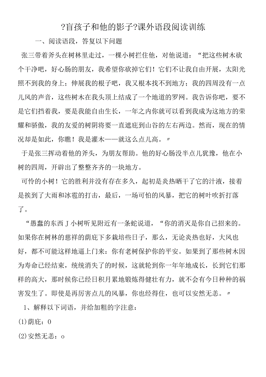 《盲孩子和他的影子》课外语段阅读训练.docx_第1页