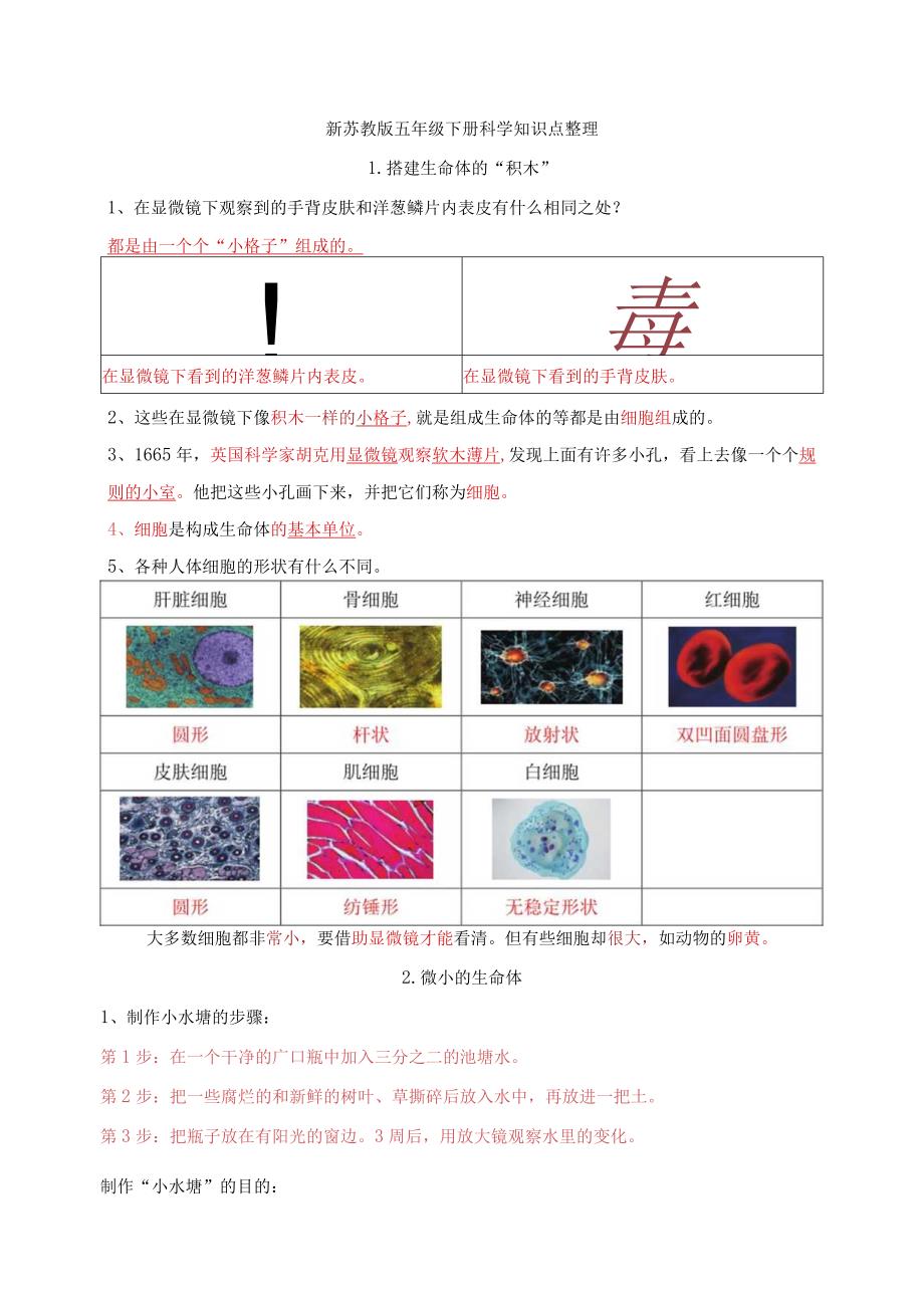 五年级下册科学知识点整理全册苏教版.docx_第1页