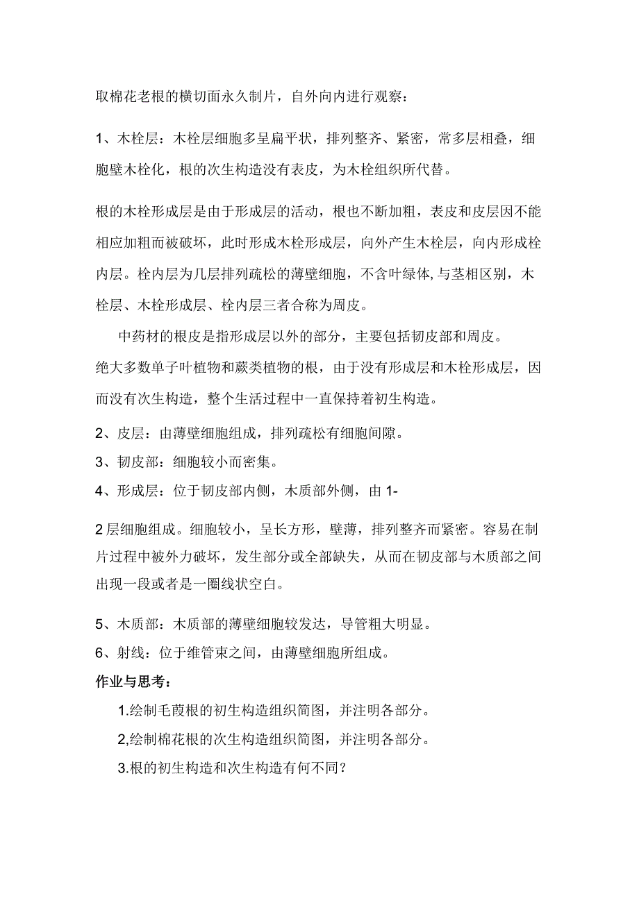 石大药用植物学实验指导02基本实验项目6根.docx_第2页