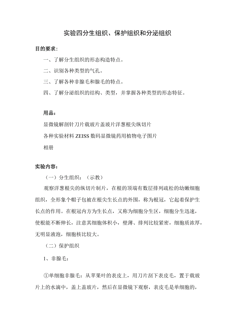 石大药用植物学实验指导02基本实验项目4分生组织保护组织和分泌组织.docx_第1页