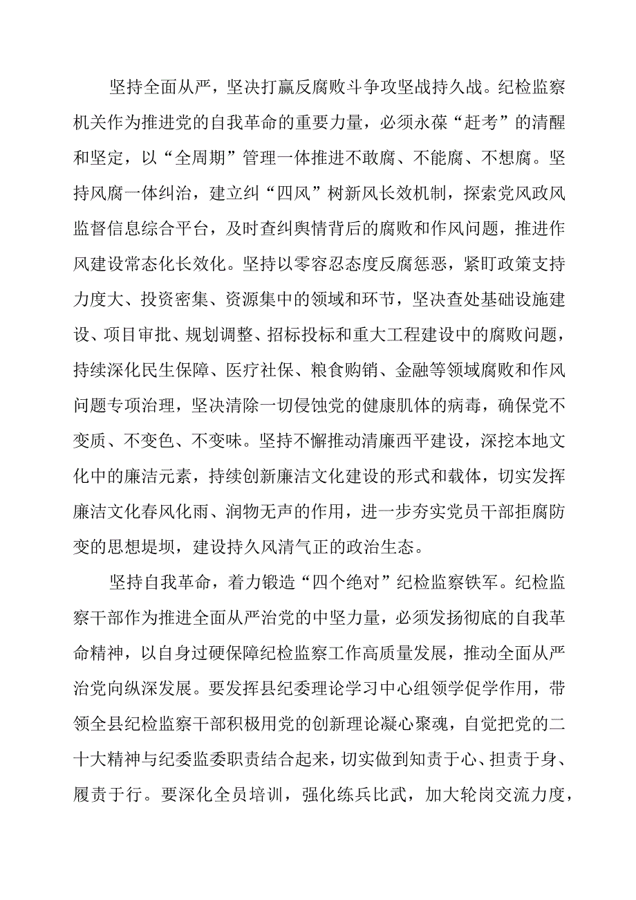 纪检监察干部学习《党的二十大报告》之从严治党系列个人领悟资料.docx_第2页