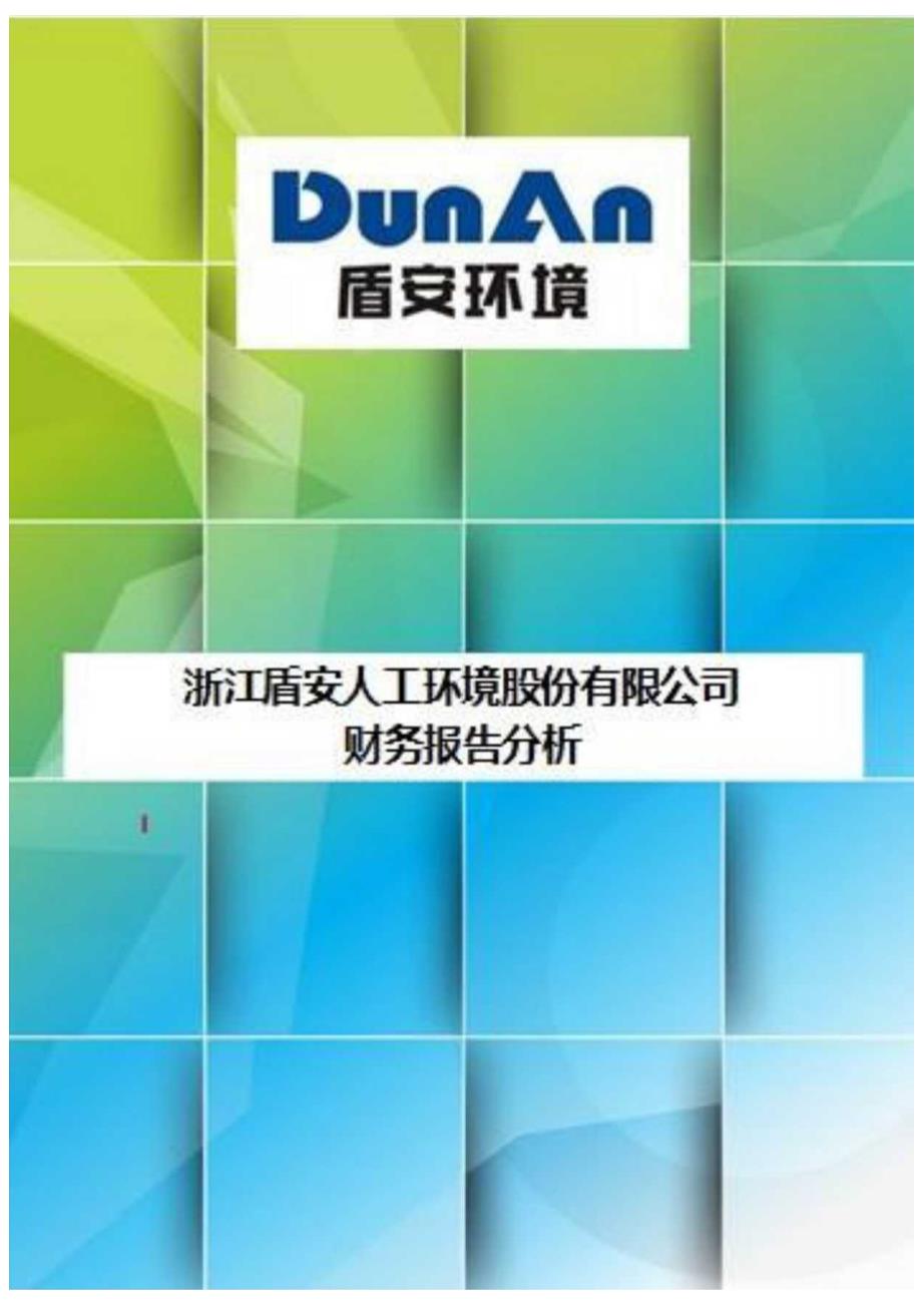 环境公司财务报告分析.docx_第1页