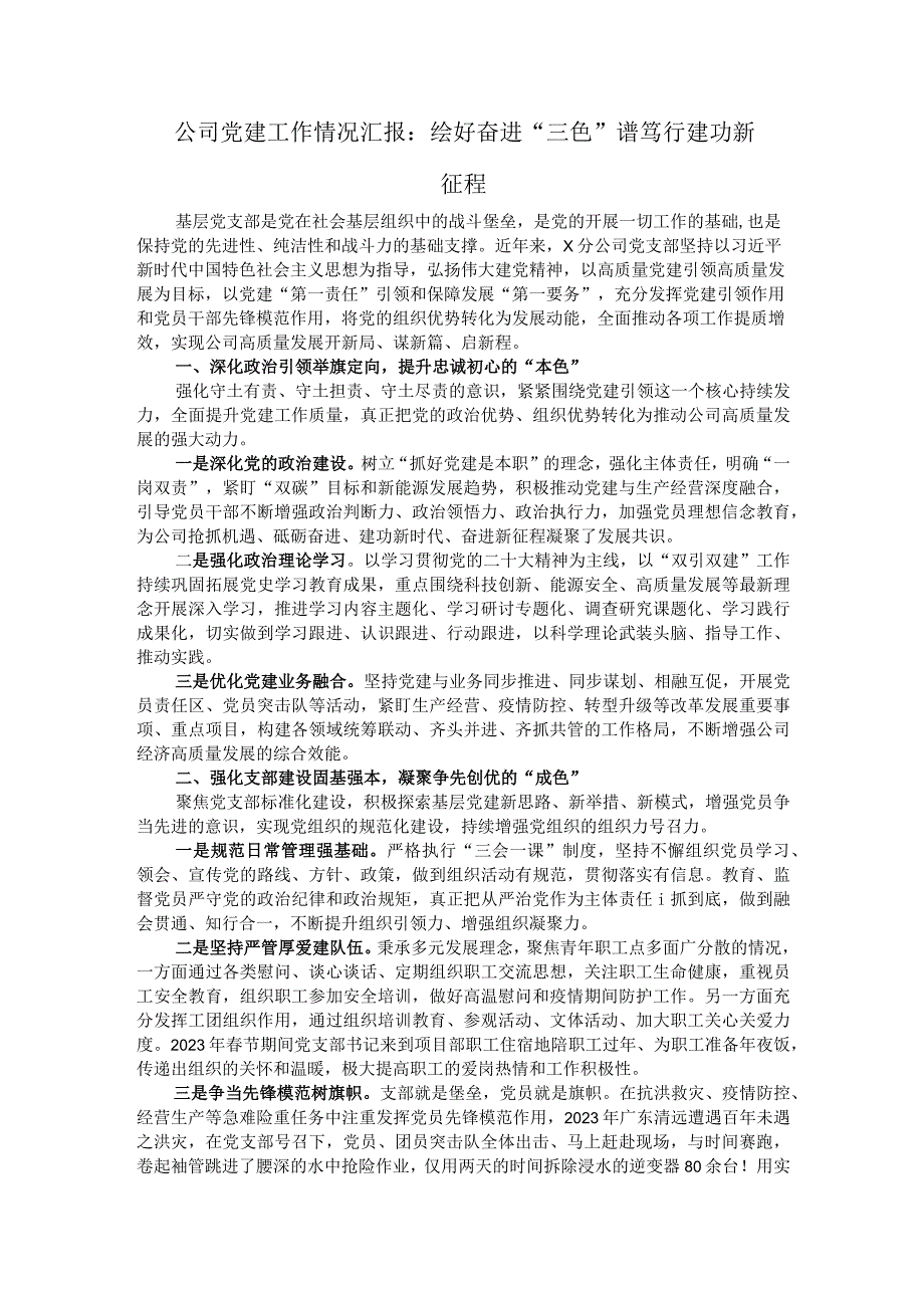 公司党建工作情况汇报：绘好奋进＂三色＂谱 笃行建功新征程.docx_第1页