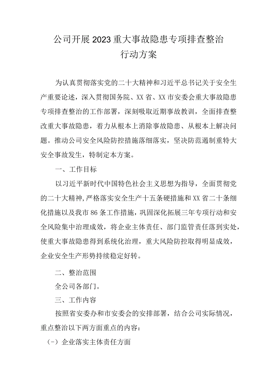 公司重大事故隐患专项排查整治2023行动方案.docx_第1页