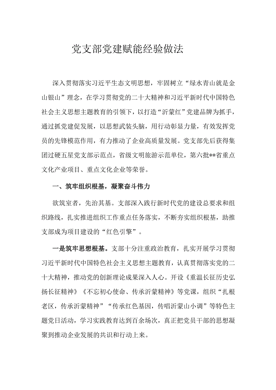 党支部党建赋能经验做法.docx_第1页