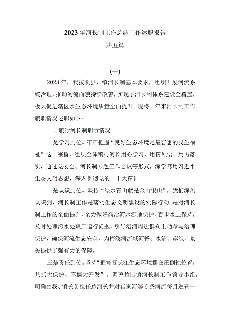 2023年河长制工作总结工作述职报告共五篇.docx_第1页