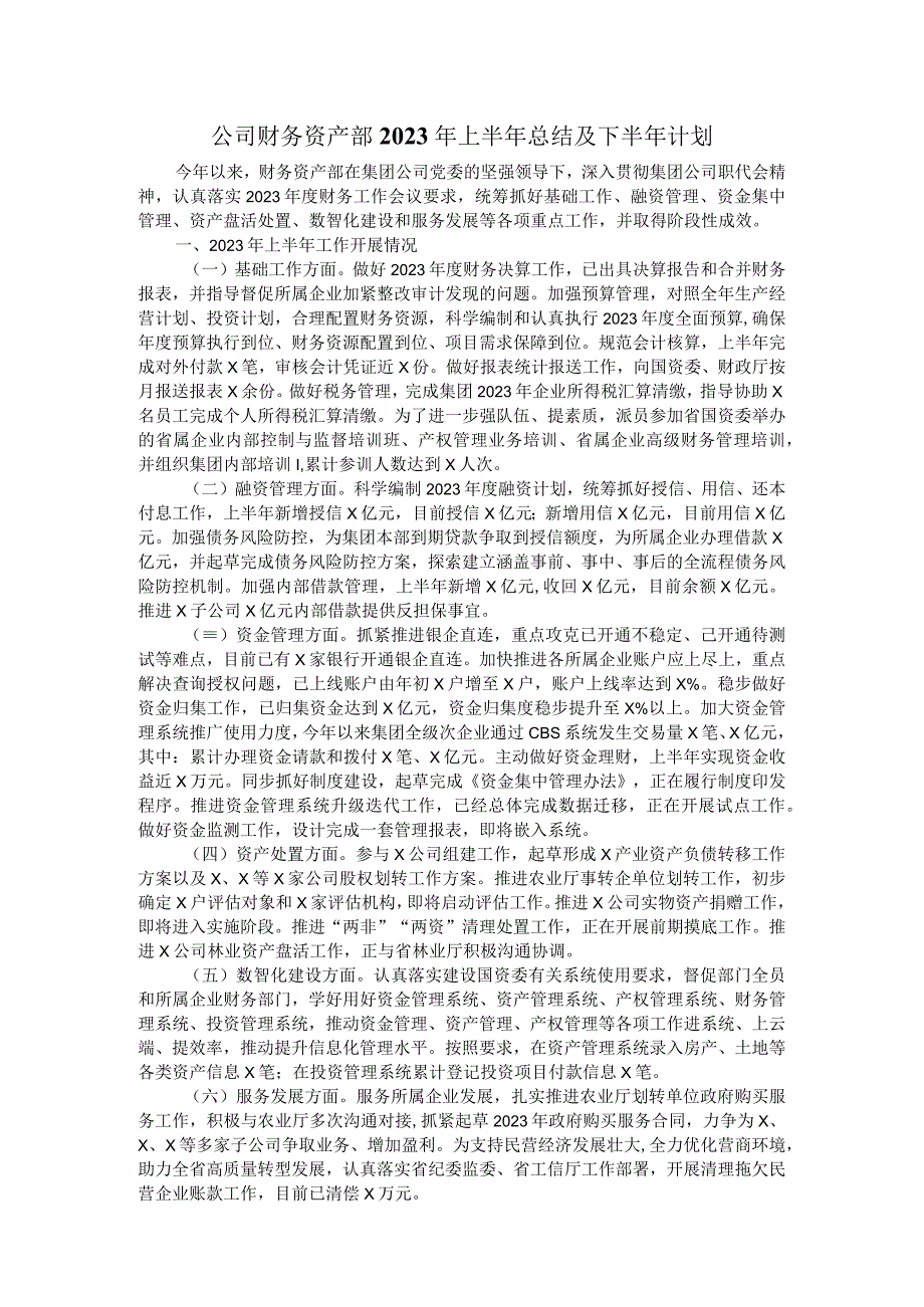 公司财务资产部2023年上半年总结及下半年计划.docx_第1页