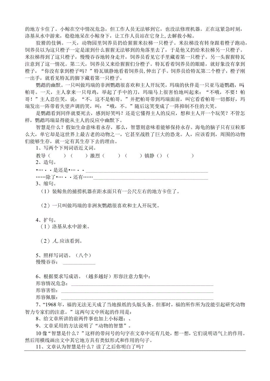 5年级短文阅读练习20篇.docx_第3页