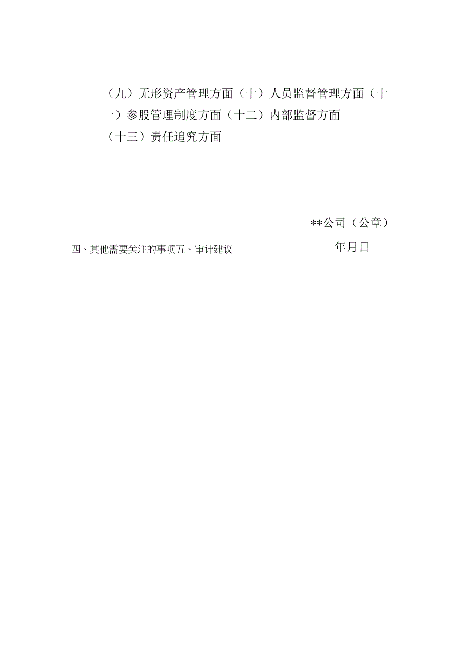 公司审计报告模板.docx_第3页