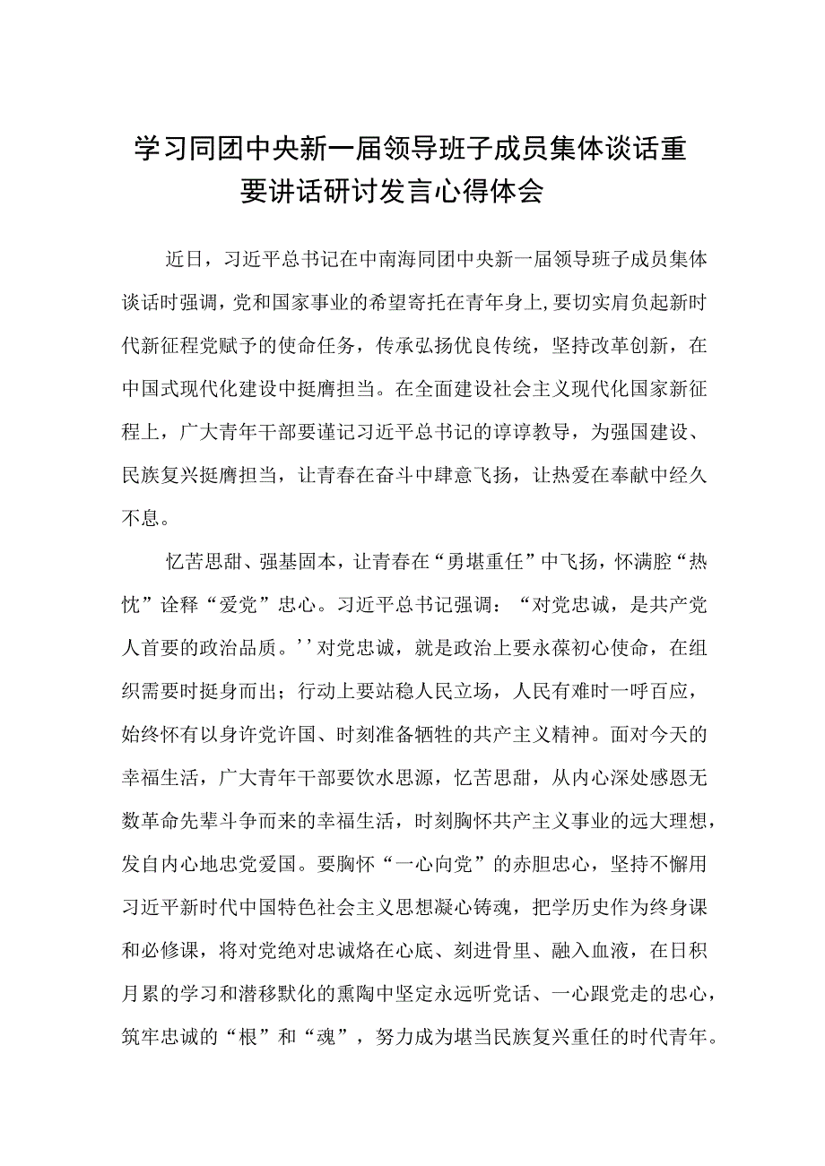 8篇2023学习同团中央新一届领导班子成员集体谈话重要讲话研讨发言心得体会.docx_第1页