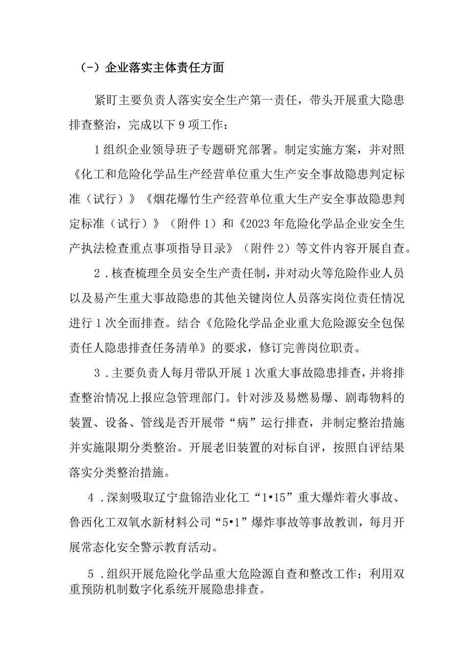 公司2023重大事故隐患专项排查整治行动方案.docx_第2页