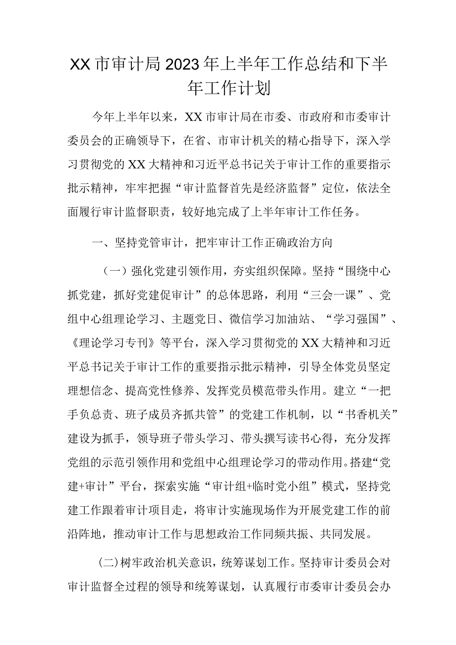 xx市审计局2023年上半年工作总结和下半年工作计划.docx_第1页