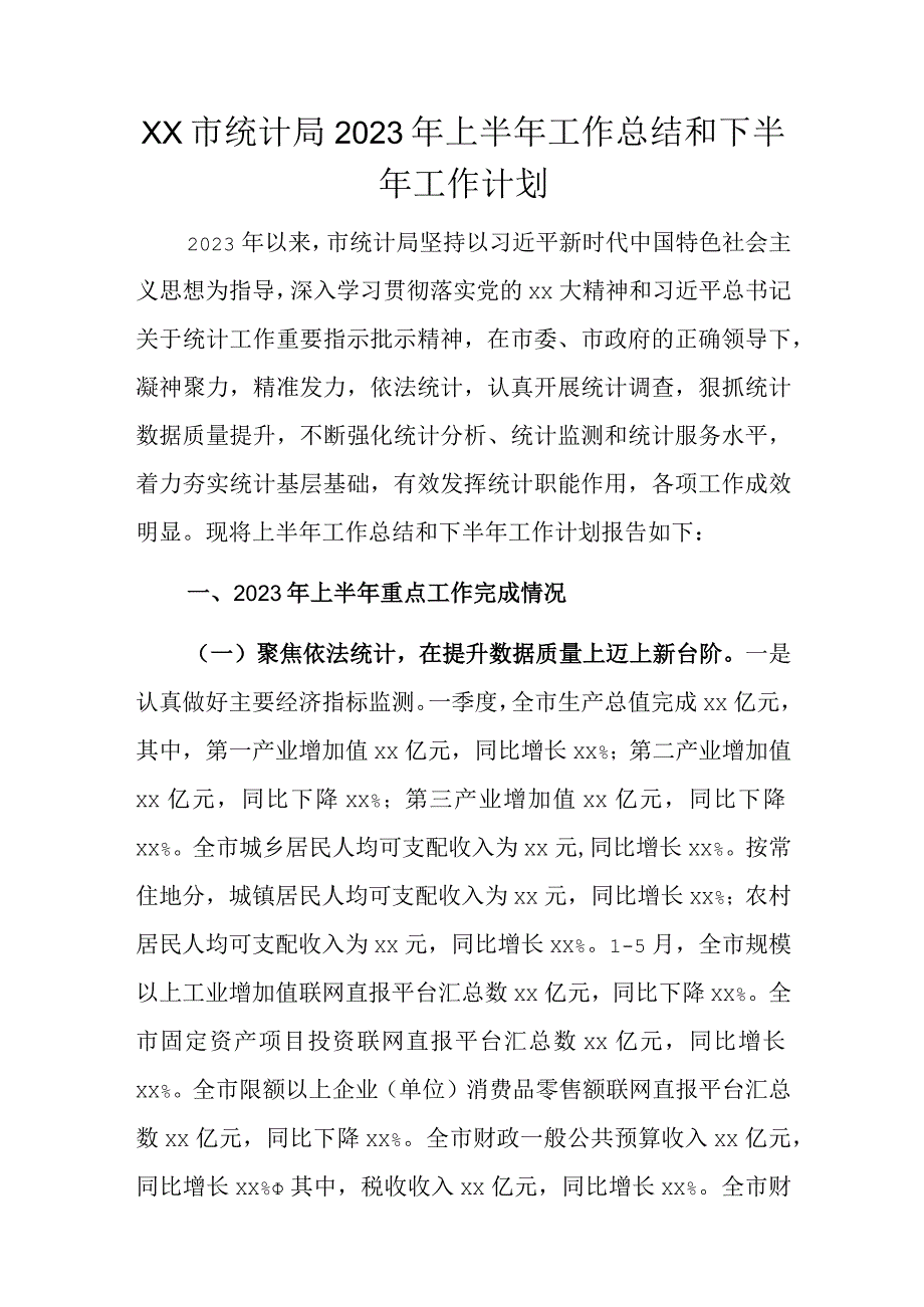 xx市统计局2023年上半年工作总结和下半年工作计划.docx_第1页