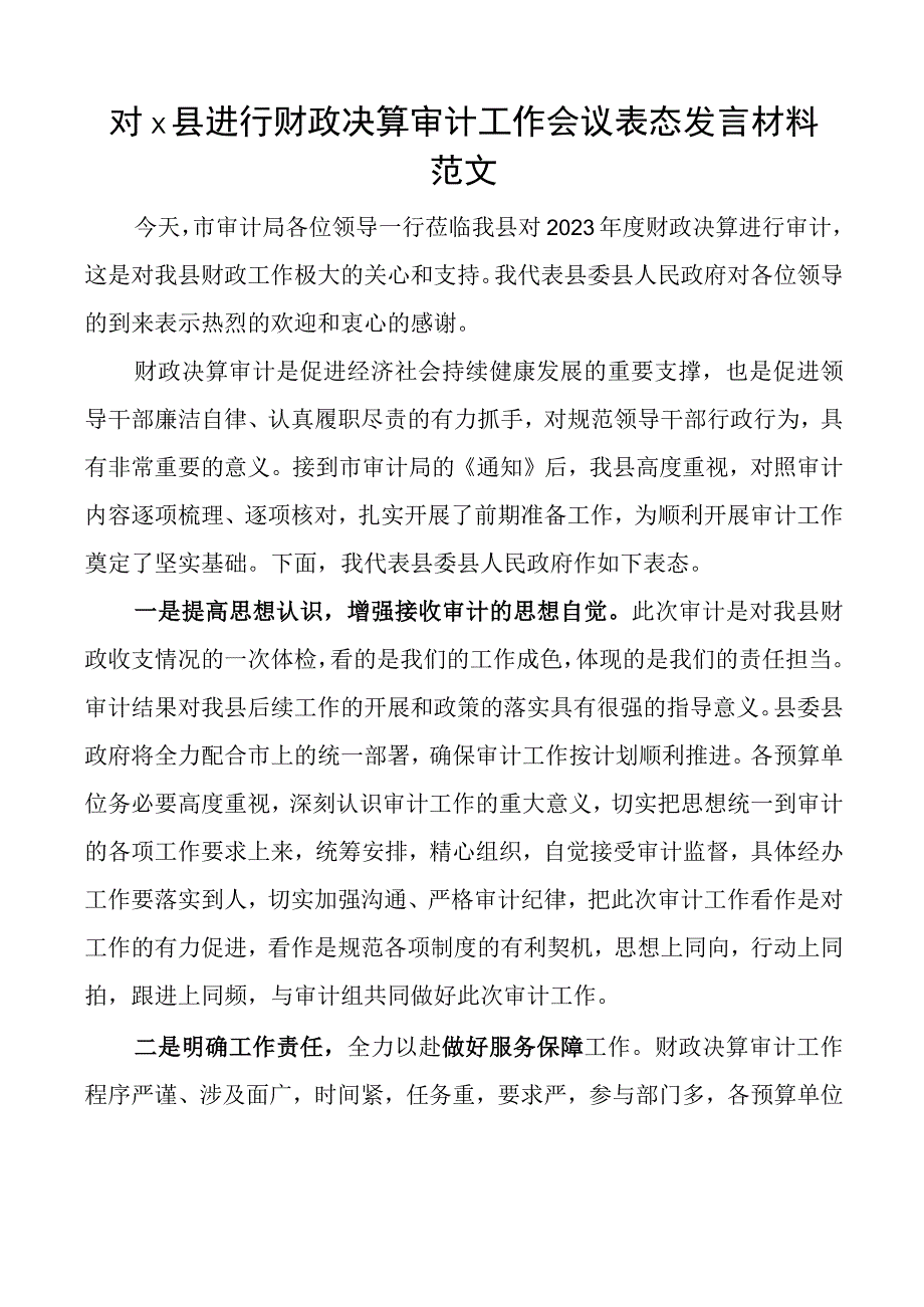 x县进行财政决算审计工作会议表态发言材料.docx_第1页