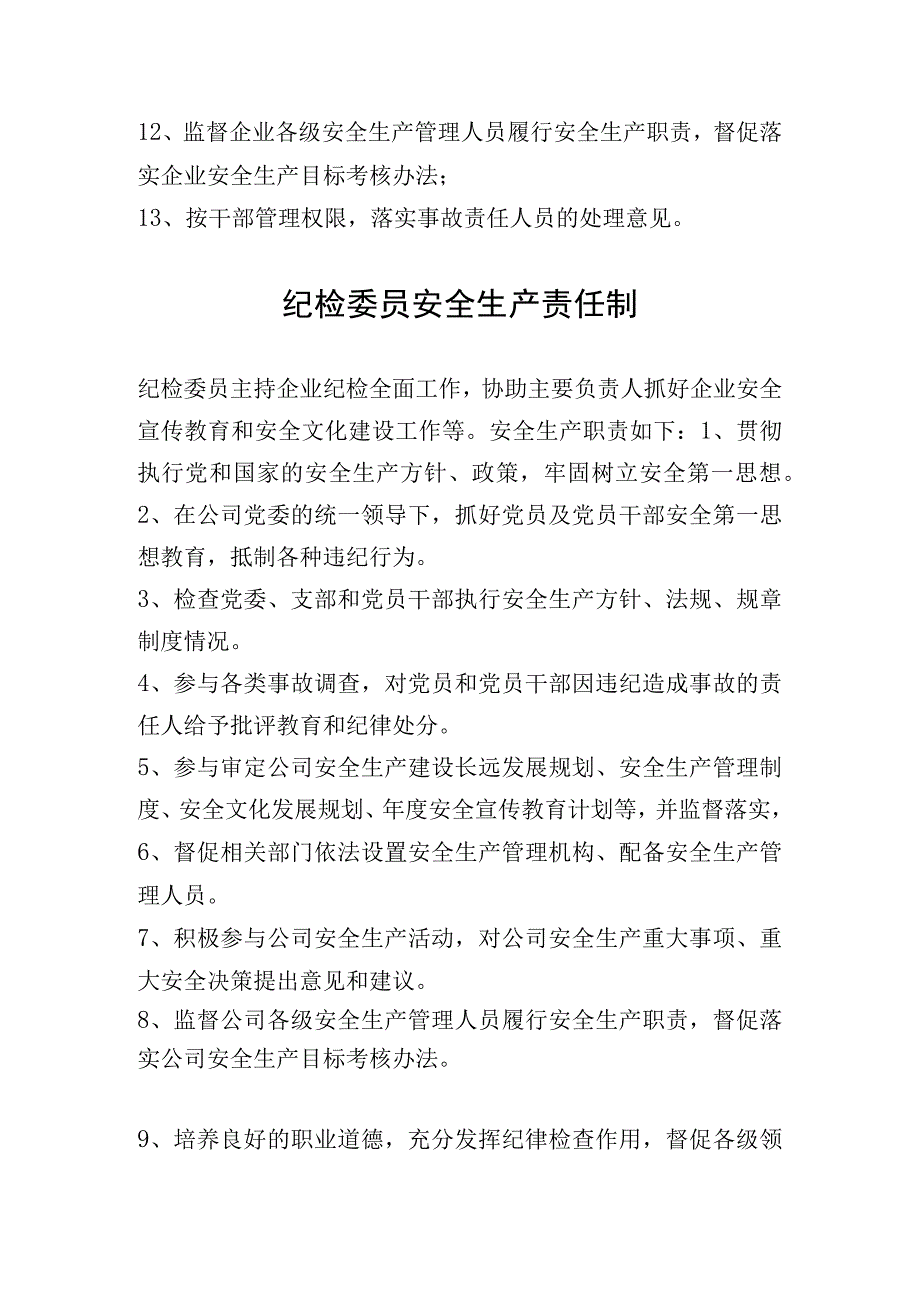 党支部书记纪检委员工会主席安全生产责任制.docx_第2页