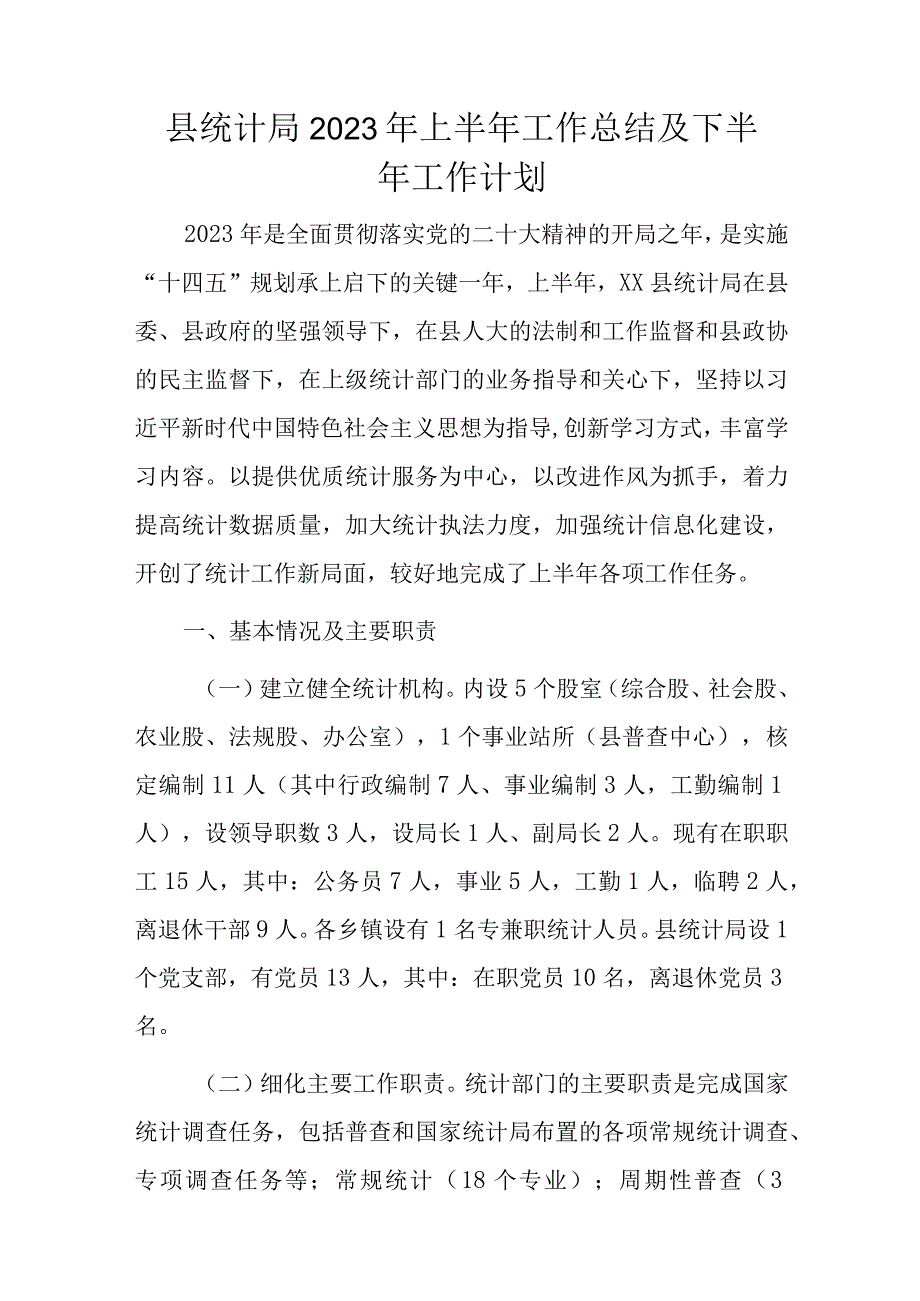 县统计局2023年上半年工作总结及下半年工作计划.docx_第1页