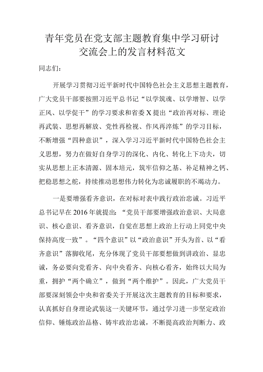 青年党员在党支部主题教育集中学习研讨交流会上的发言材料范文.docx_第1页