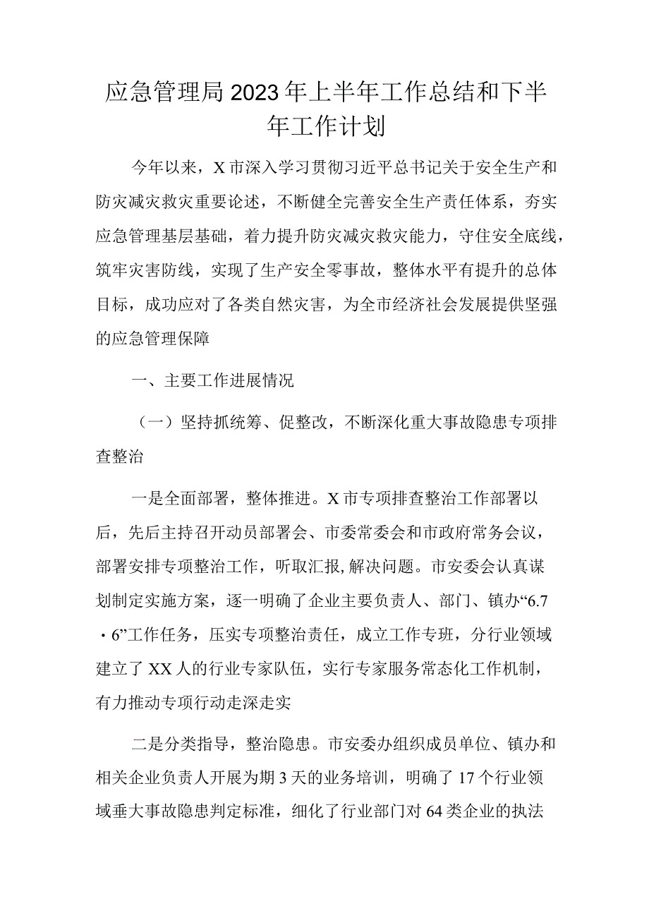 应急管理局2023年上半年工作总结和下半年工作计划.docx_第1页