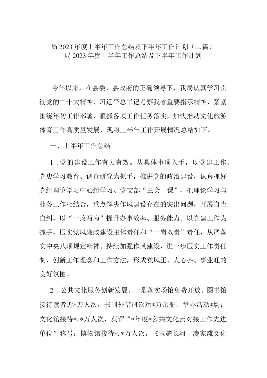 局2023年度上半年工作总结及下半年工作计划二篇.docx_第1页