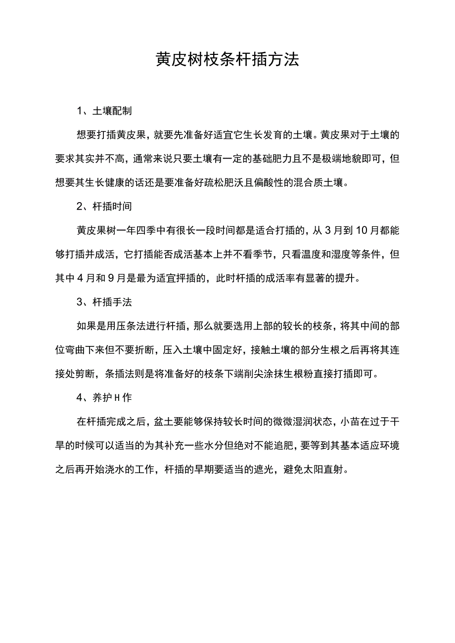 黄皮树枝条扦插方法.docx_第1页