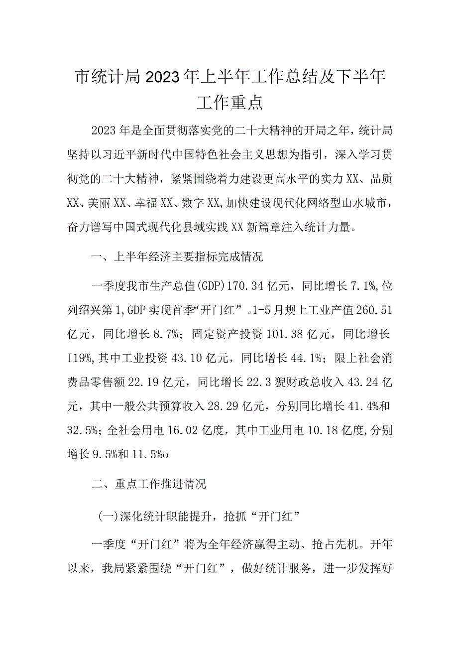 市统计局2023年上半年工作总结及下半年工作重点.docx_第1页