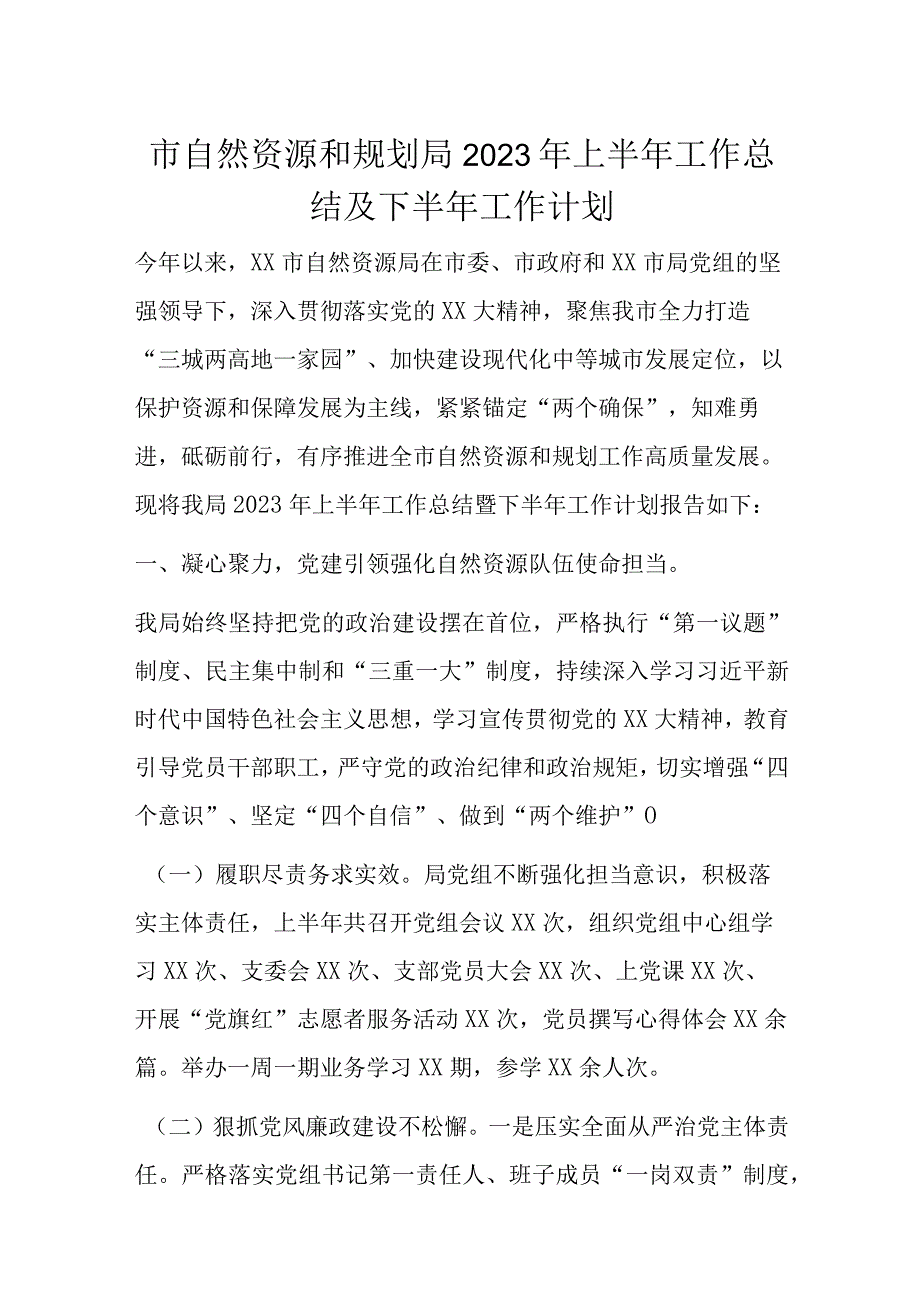 市自然资源和规划局2023年上半年工作总结及下半年工作计划.docx_第1页