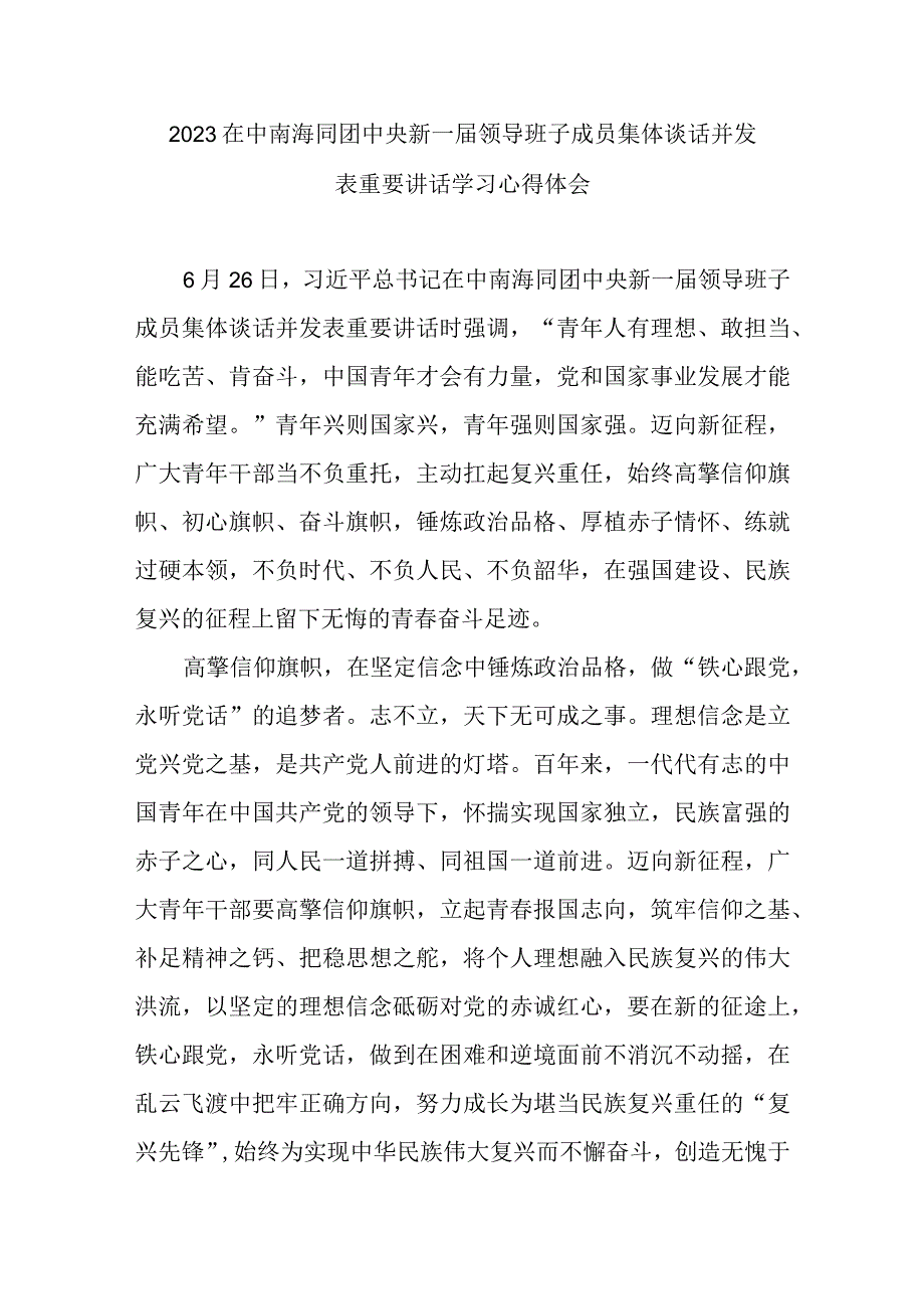 2023在中南海同团中央新一届领导班子成员集体谈话并发表重要讲话学习心得体会3篇.docx_第1页