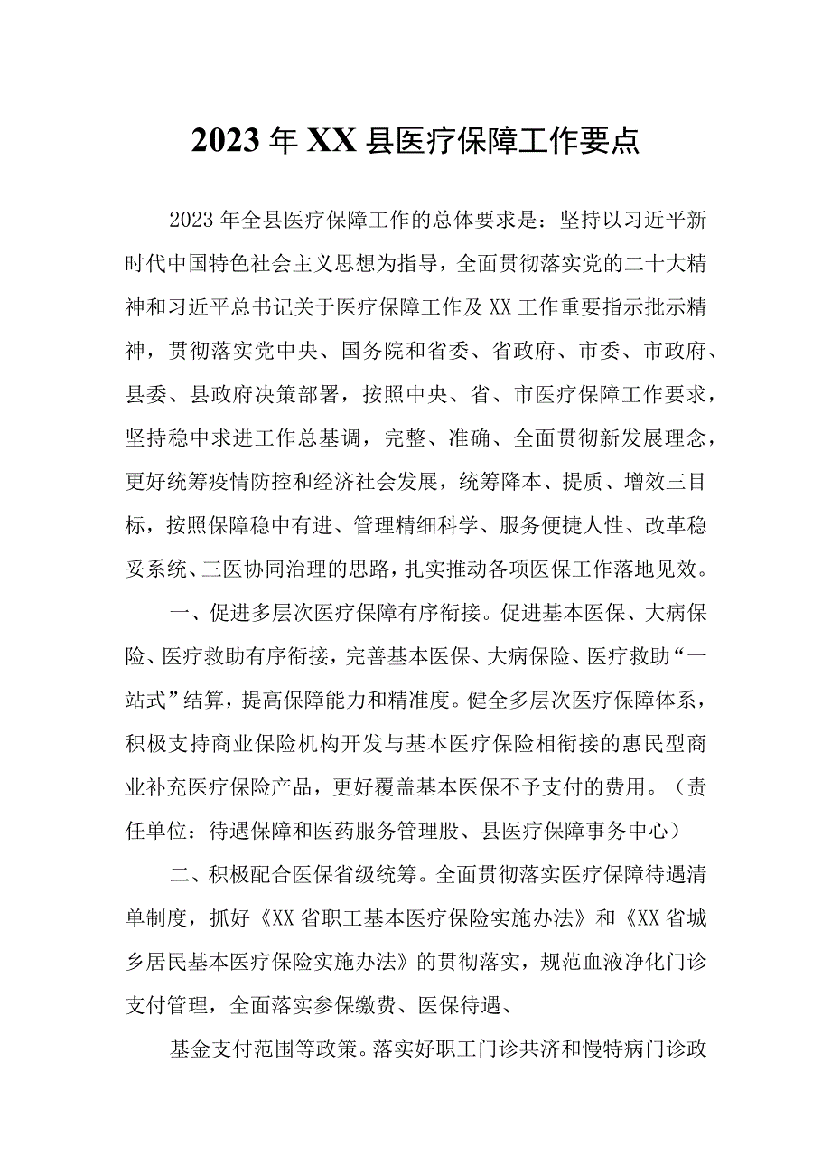 2023年XX县医疗保障工作要点.docx_第1页