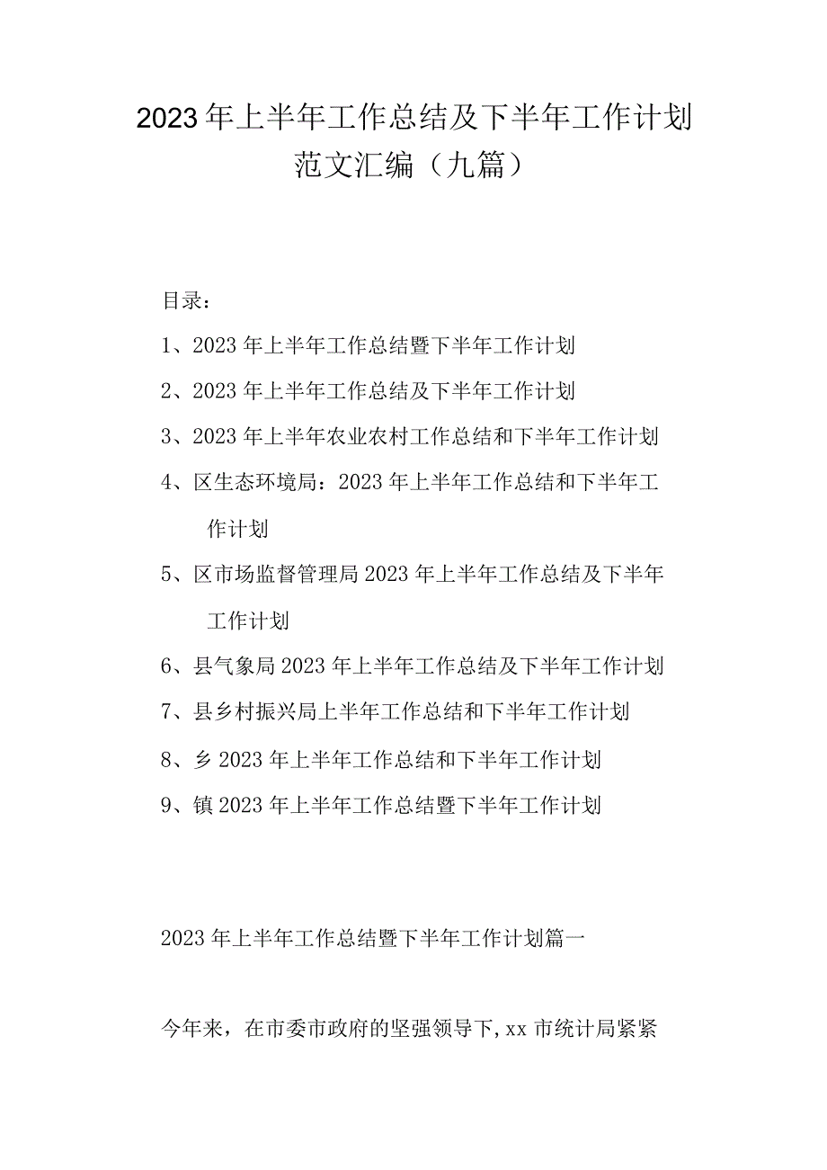 2023年上半年工作总结及下半年工作计划范文汇编九篇.docx_第1页