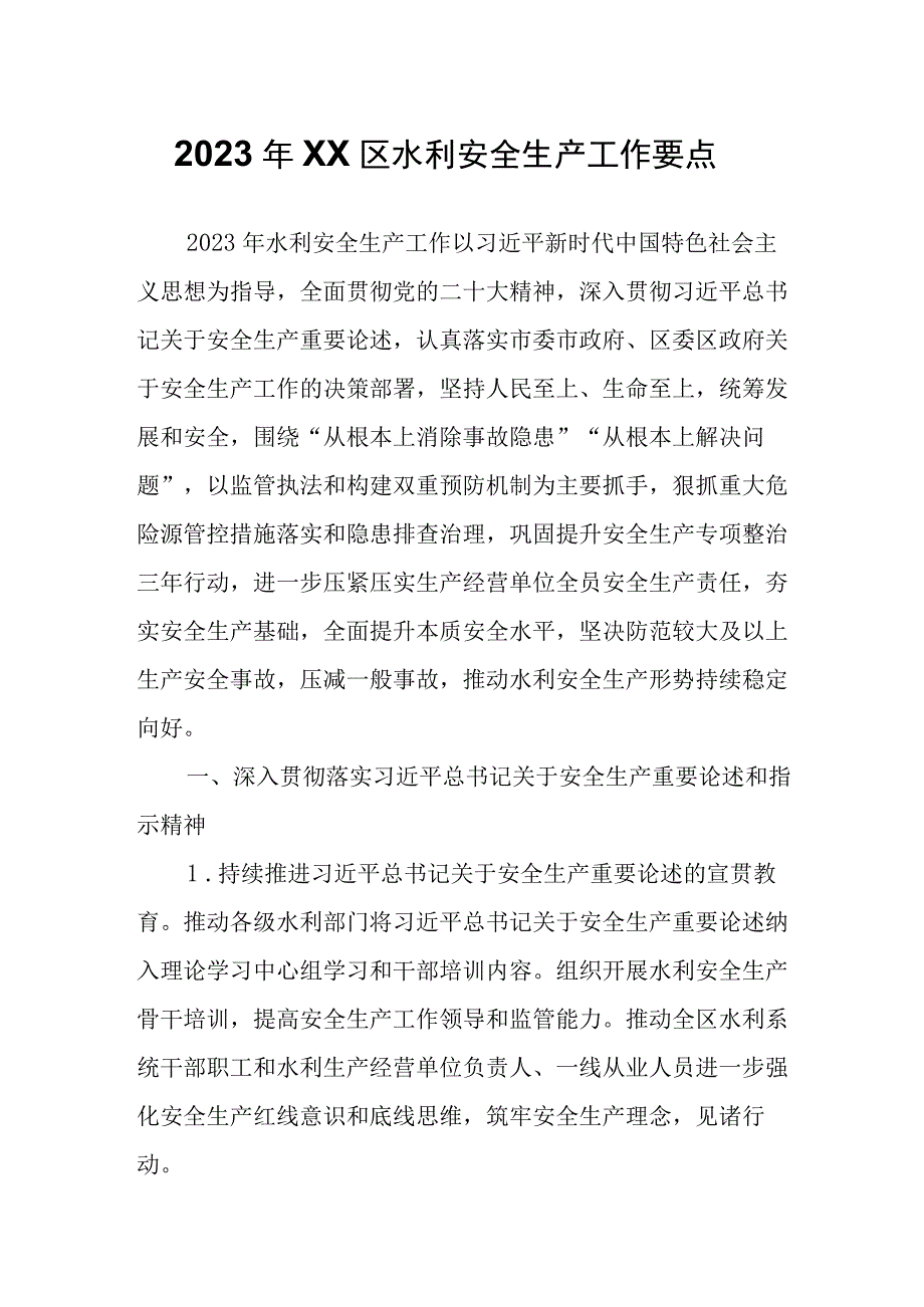 2023年XX市XX区水利安全生产工作要点.docx_第1页