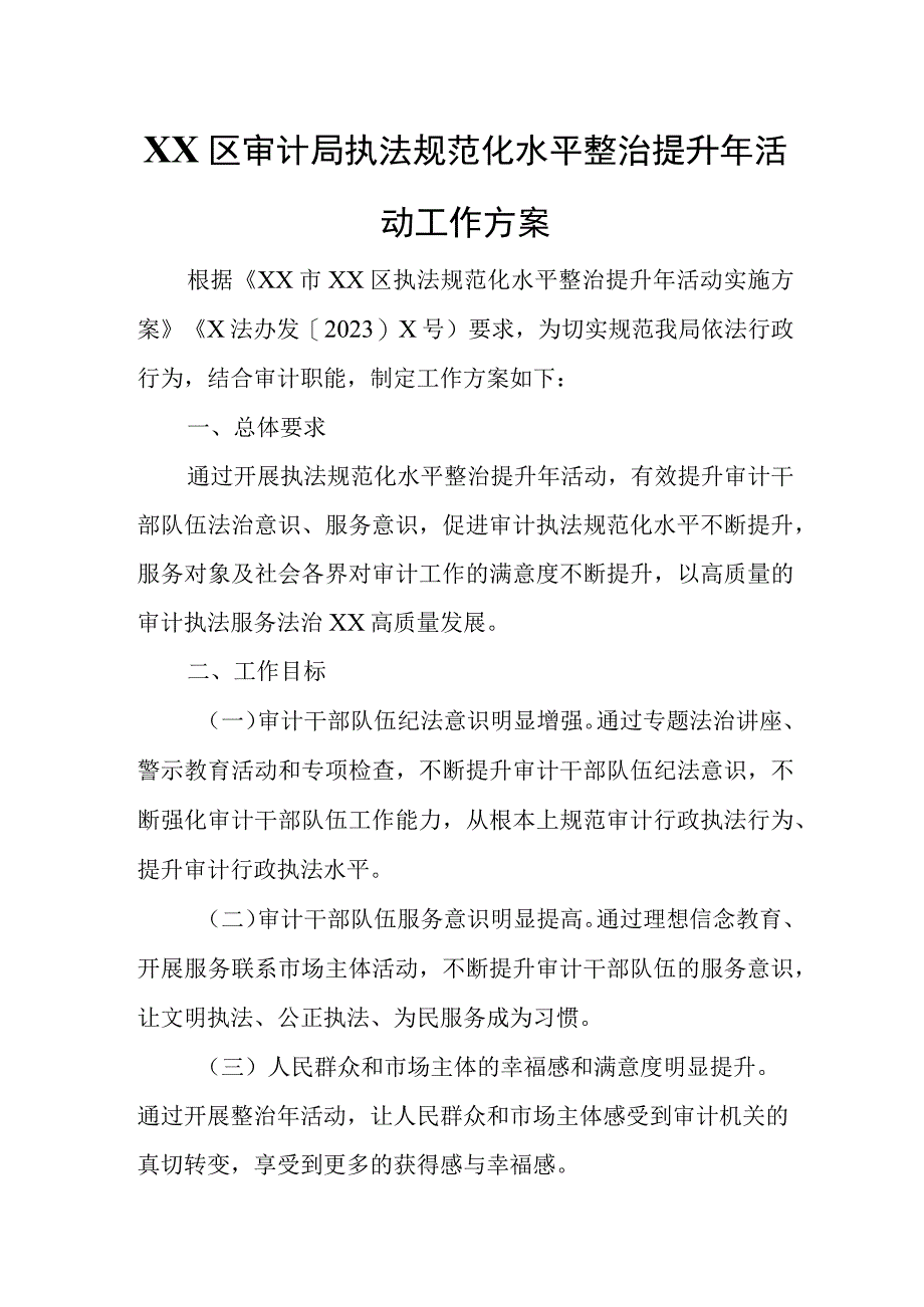 XX区审计局执法规范化水平整治提升年活动工作方案.docx_第1页