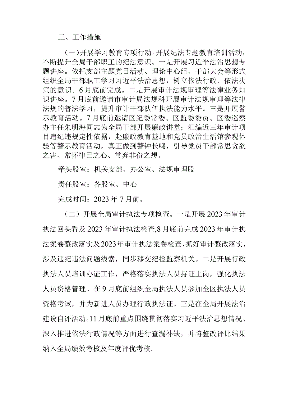 XX区审计局执法规范化水平整治提升年活动工作方案.docx_第2页