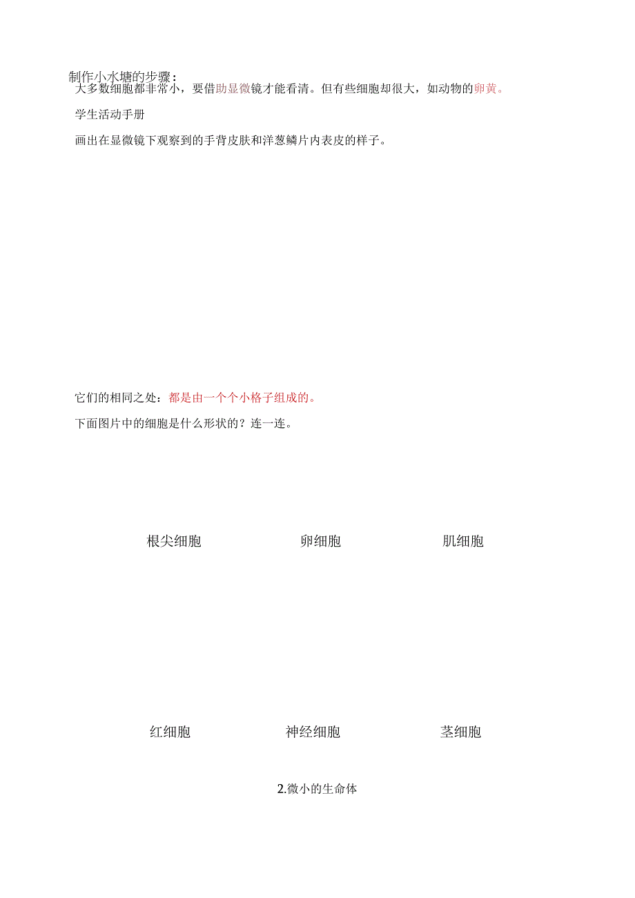 2023年新苏教版五年级下册科学第一单元《显微镜下的生命世界》知识点整理.docx_第2页