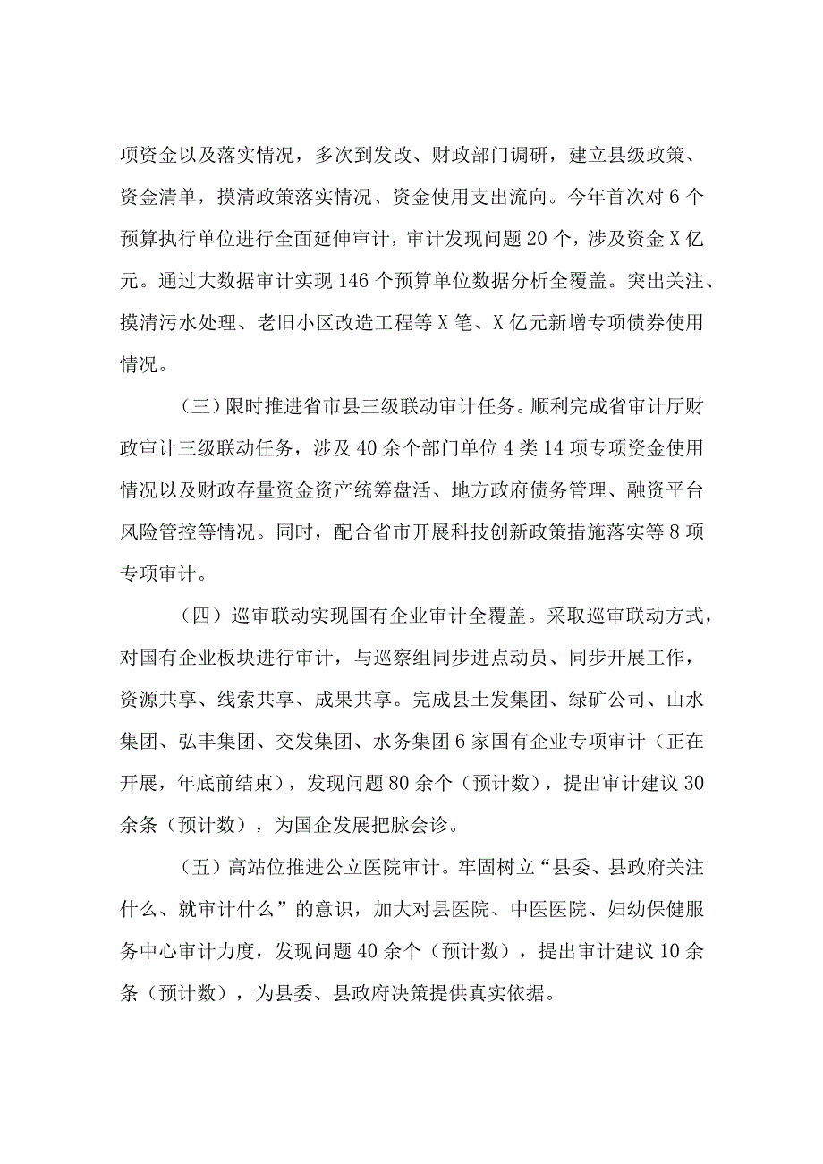 2023年度XX县审计局工作总结.docx_第3页