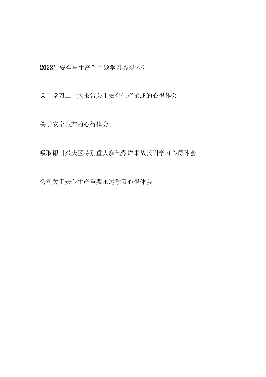 2023年安全与生产主题学习心得体会研讨发言5篇.docx_第1页