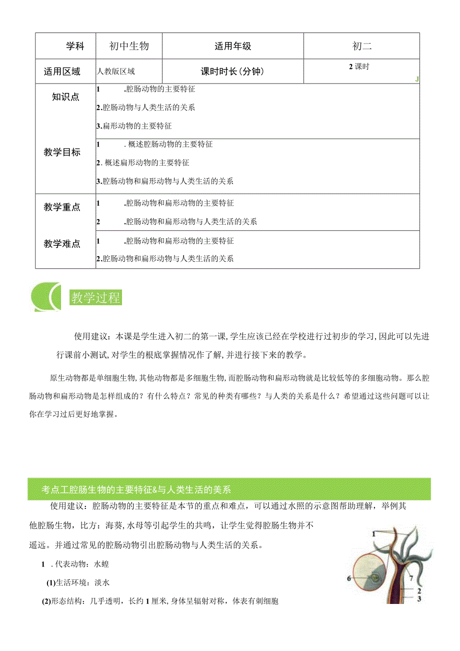 511 腔肠动物和扁形动物 教案.docx_第1页