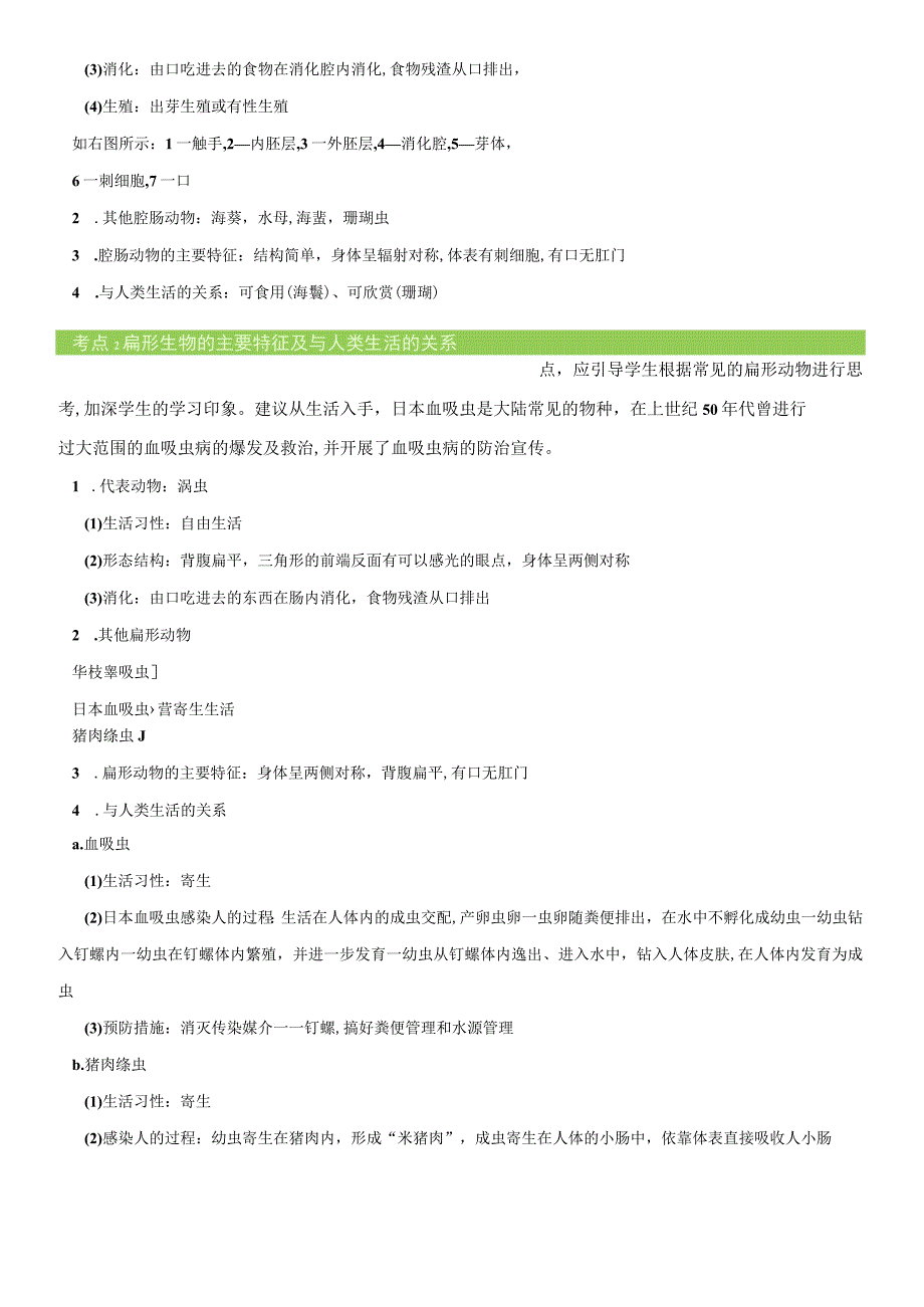 511 腔肠动物和扁形动物 教案.docx_第2页