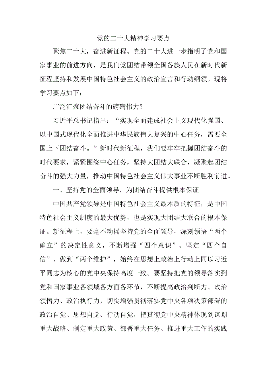 公安派出所开展《党的二十大精神》学习要点合计5份.docx_第1页